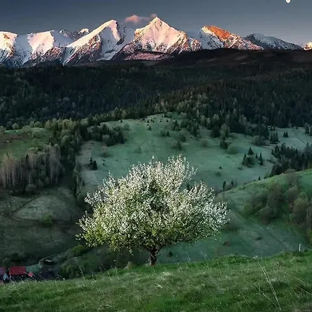 Frankova Velka Frankova